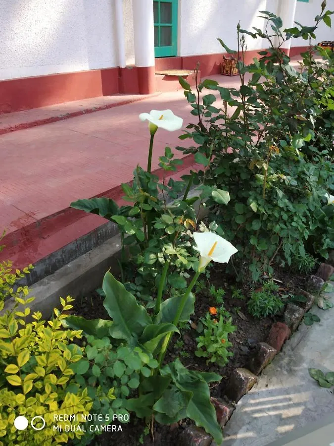 Garden Cottages Shimla 0*,  India